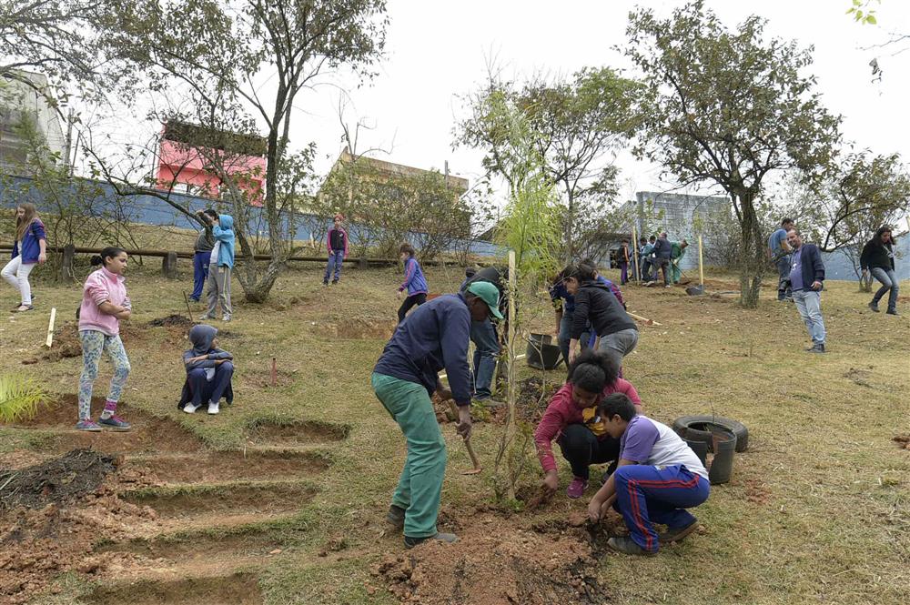 Programa Ilhas Verdes nas Escolas leva árvores nativas ao Parque Alvorada