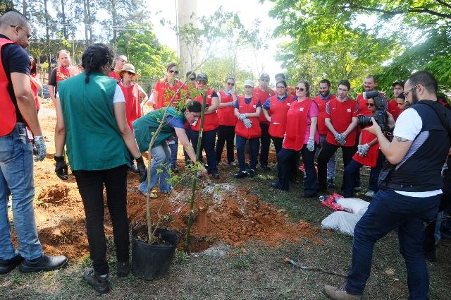 Prefeitura planta 200 mudas de árvores nativas em parceria com a Cummins