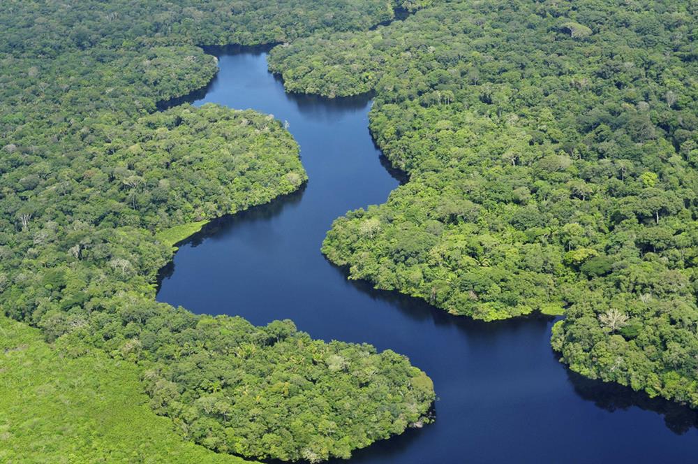 Após pressão, Temer decide anular decreto que extinguia reserva amazônica
