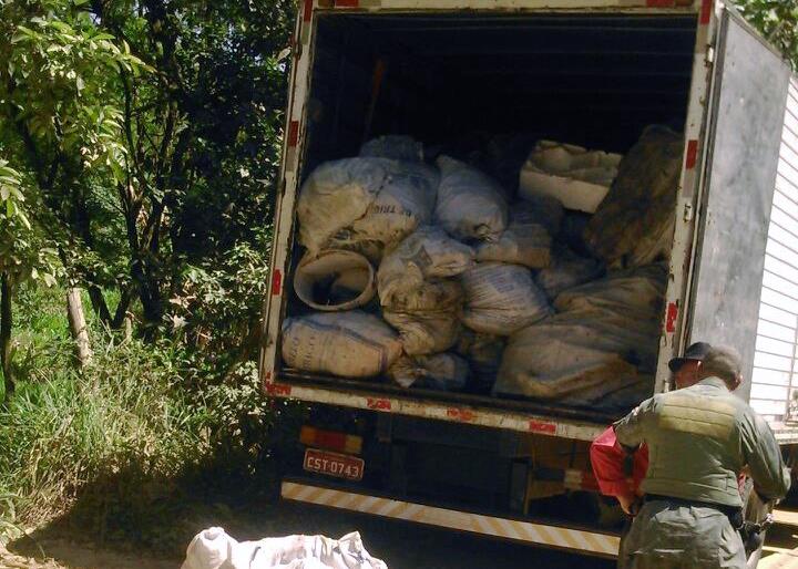 Prefeitura flagra crimes ambientais na região do Cabuçu